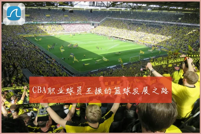 CBA职业球员王振的篮球发展之路