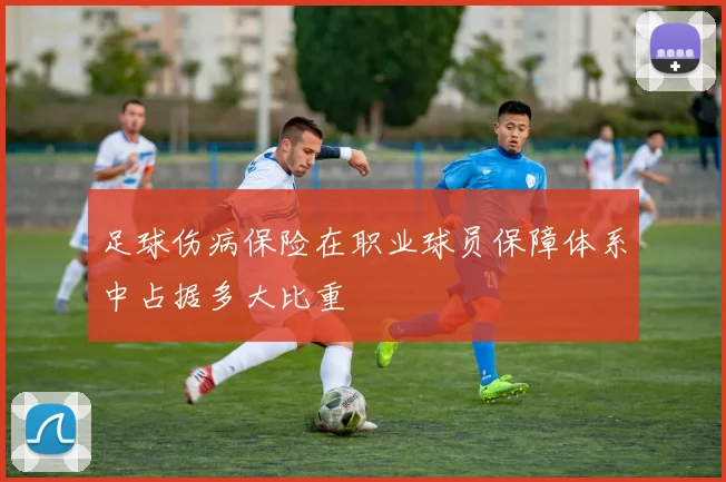 足球伤病保险在职业球员保障体系中占据多大比重