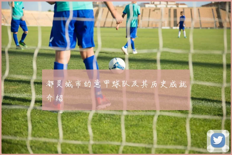 都灵城市的意甲球队及其历史成就介绍