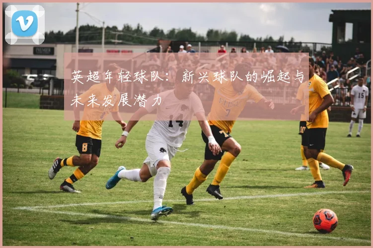 英超年轻球队：新兴球队的崛起与未来发展潜力