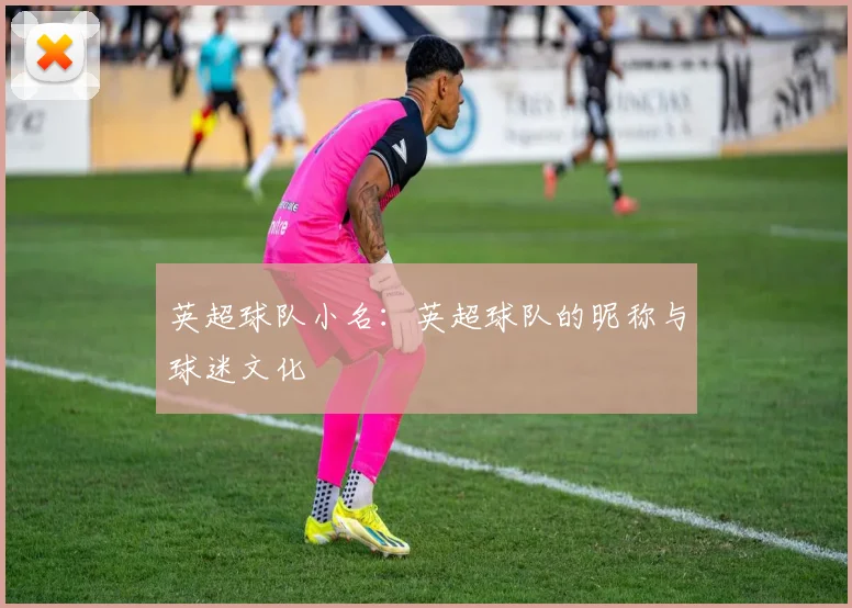 英超球队小名：英超球队的昵称与球迷文化