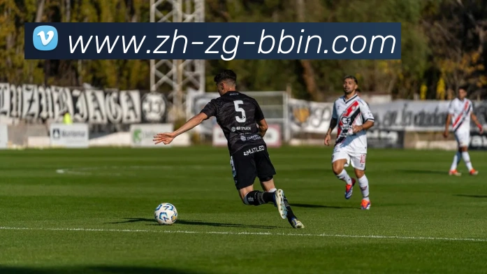 bbin宝盈平台生态图